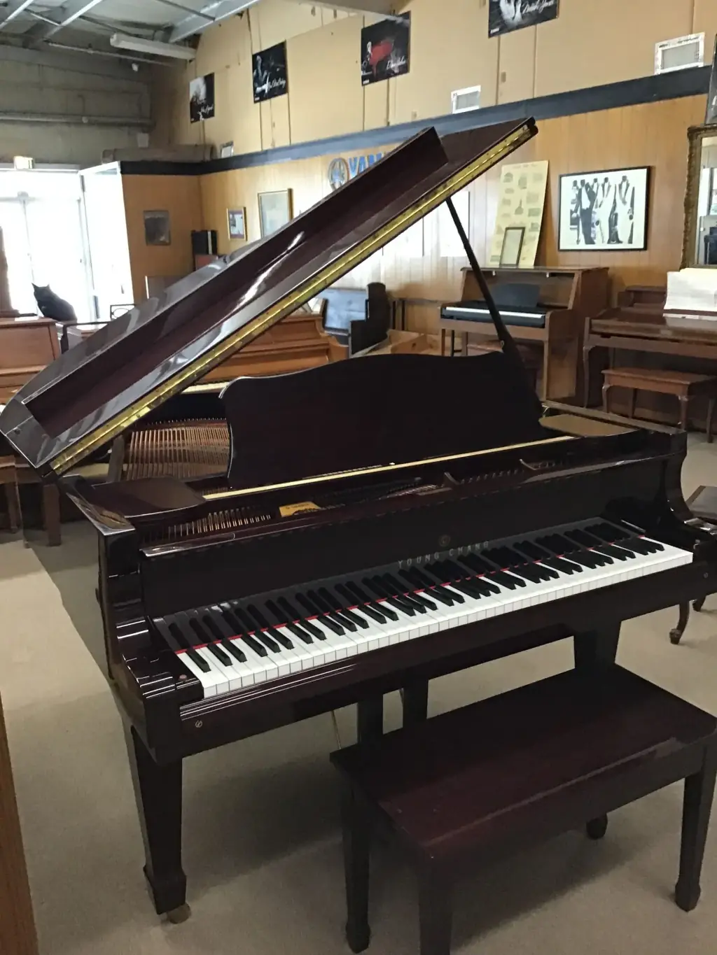 Pianos
