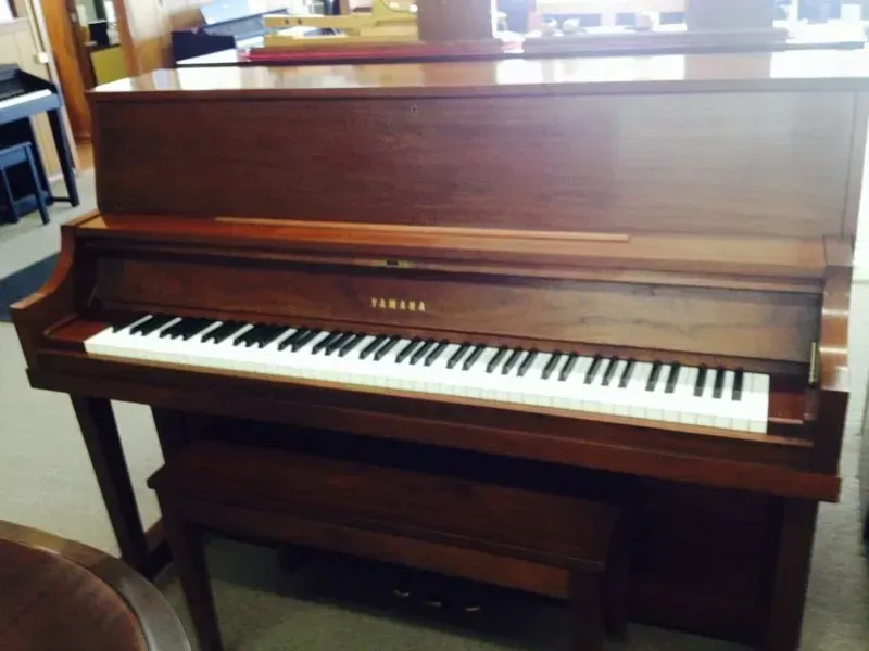 New Yamaha P-22 studio upright piano in walnut finish